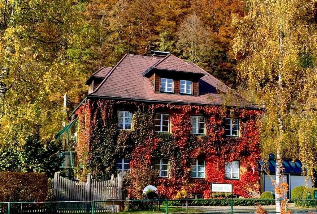 Gaestehaus Grogger Weyer Markt Exteriör bild